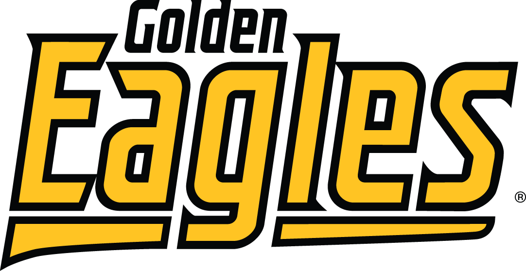 Southern Miss Golden Eagles 2003-Pres Wordmark Logo diy DTF decal sticker